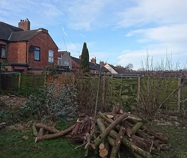 A few conifers removed