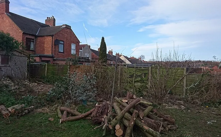 tree surgery