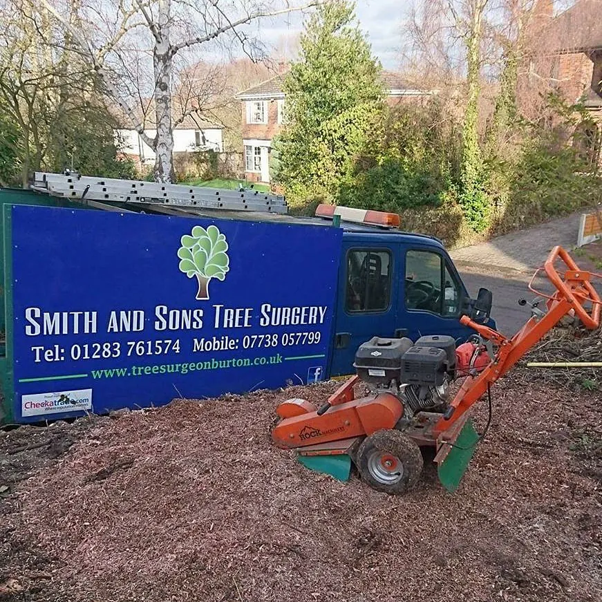 tree surgery