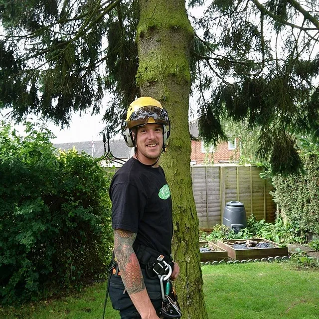 Simon The Tree Surgeon